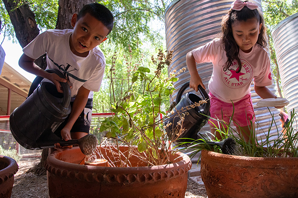 A boy and a girl use watering cans in the school garden