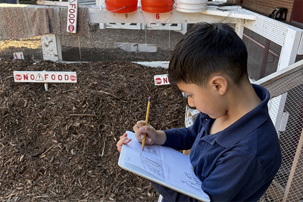 A boy sketches in his journal as he sits in the school garden