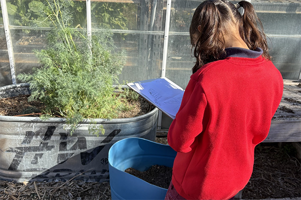 A girl sketches in a notebook standing in the school garden