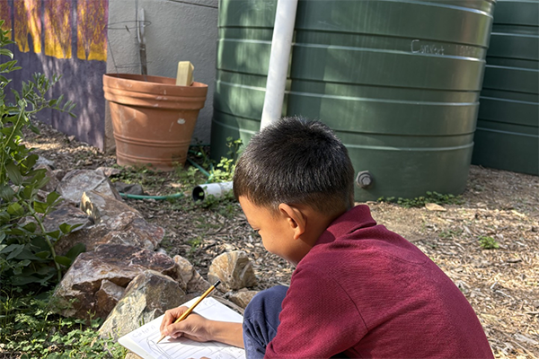 A boy sketches in his journal in the garden